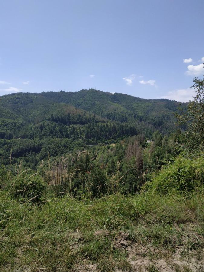 "Вила Баните" Exterior foto